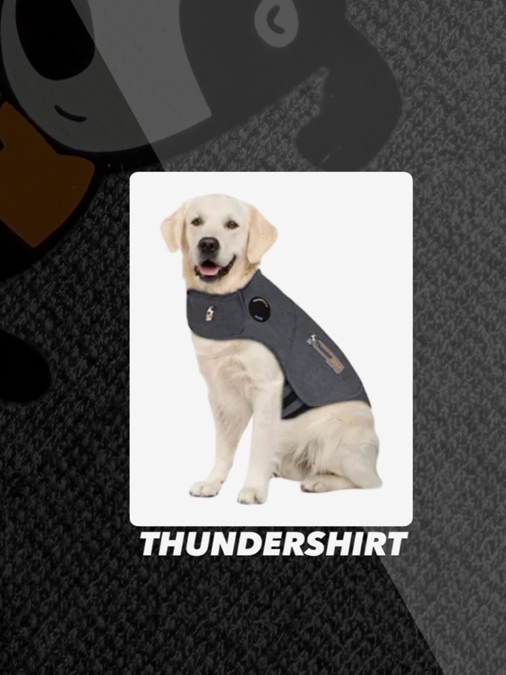 EUC ThunderShirt Dog Anxiety Shirt